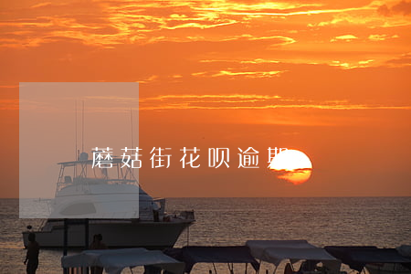 蘑菇街花呗逾期