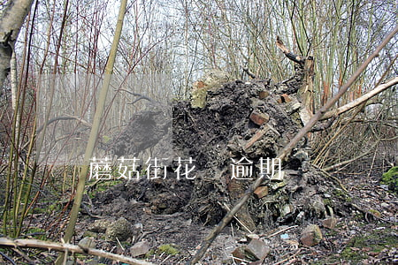 蘑菇街花唄逾期