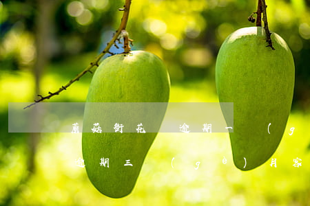 蘑菇街花唄逾期一個(gè)月了(螞蟻花唄逾期三個(gè)月,客服說準(zhǔn)備起訴)