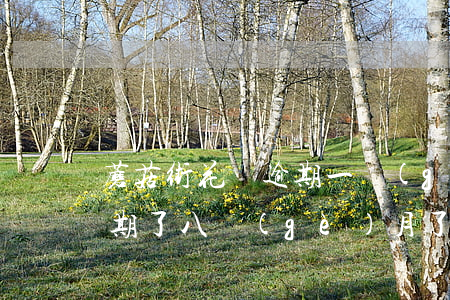 蘑菇街花唄逾期一個(gè)月(螞蟻花唄逾期了八個(gè)月了欠了四千不到)