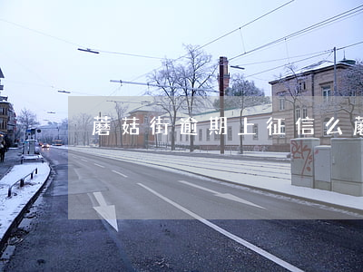 蘑菇街逾期上征信么 蘑菇街借款上征信嗎