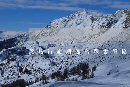 蘑菇街逾期怎么跟客服協(xié)商還款