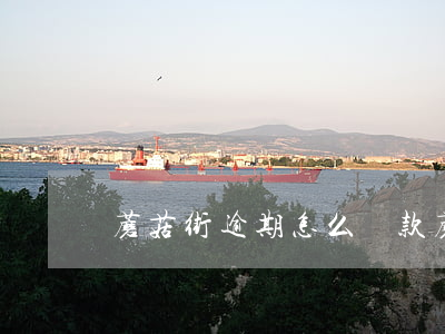 蘑菇街逾期怎么還款(蘑菇街逾期怎么還款)