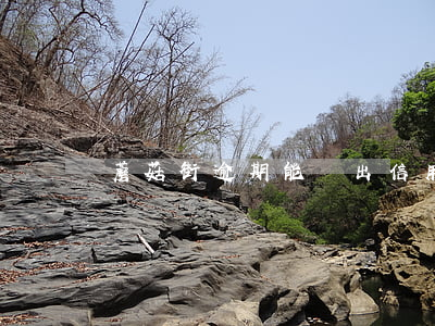 蘑菇街逾期能辦出信用卡嗎