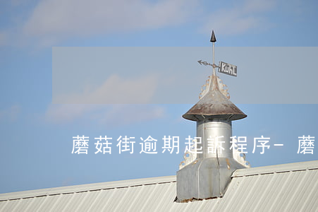 蘑菇街逾期起訴程序-蘑菇街逾期起訴程序