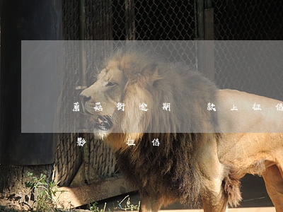蘑菇街逾期還款上征信(蘑菇街會(huì)影響征信嗎)