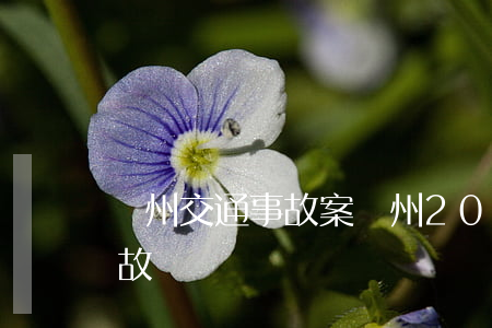 蘭州交通事故案(蘭州2011年特大交通事故)