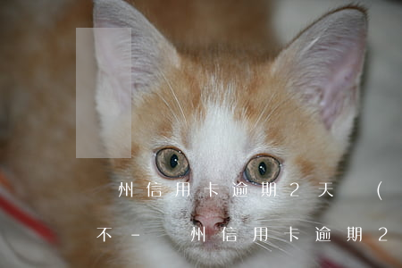 蘭州信用卡逾期2天會(huì)影響信用不-蘭州信用卡逾期2天會(huì)影響信用不