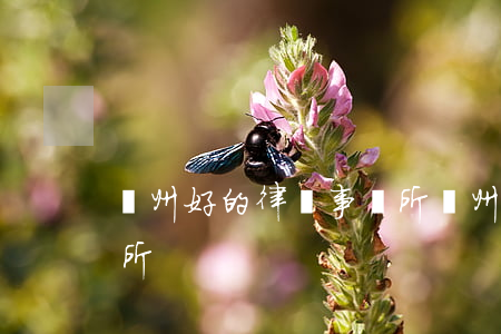 蘭州好的律師事務所(蘭州比較好的律師事務所)