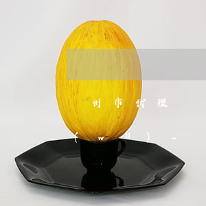 蘭州市代理債務(wù)糾紛律師法律服務(wù)-蘭州市代理債務(wù)糾紛律師法律服務(wù)電話
