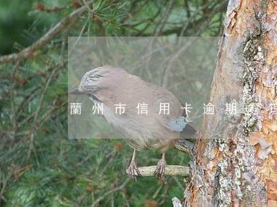 蘭州市信用卡逾期處理（甘肅信用卡逾期后果）