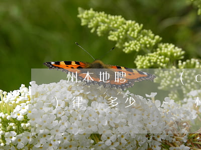 蘭州本地聘請債權(quán)債務(wù)律師多少錢-蘭州本地聘請債權(quán)債務(wù)律師多少錢一個月