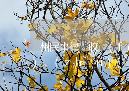蘭州民事律師收費(fèi)標(biāo)準(zhǔn)(蘭州請個律師下來要多少錢)