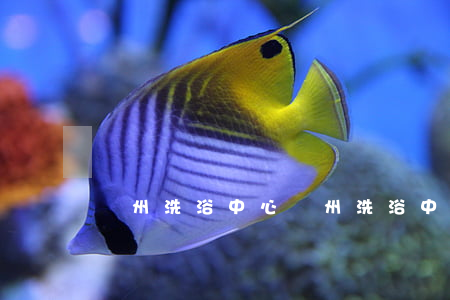 蘭州洗浴中心(蘭州洗浴中心2018排名)