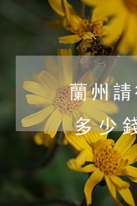 蘭州請律師一般多少錢(蘭州請個律師下來要多少錢)