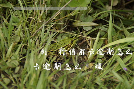 蘭州銀行信用卡逾期怎么處理(蘭州銀行信用卡逾期怎么處理)