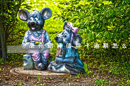 蘭州銀行信用卡逾期怎么解決
