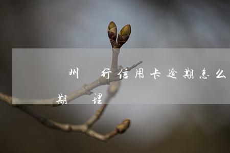 蘭州銀行信用卡逾期怎么辦(蘭州市信用卡逾期處理)