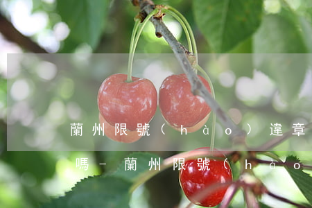 蘭州限號(hào)違章處理逾期有滯納金嗎-蘭州限號(hào)違章處理逾期有滯納金嗎多少錢