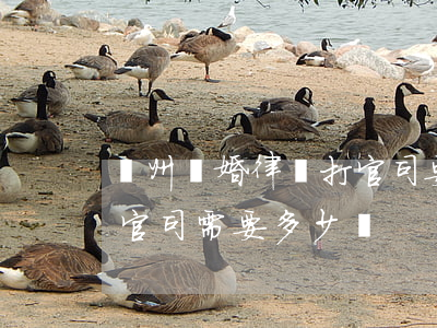 蘭州離婚律師打官司要多少錢(找律師打離婚官司需要多少錢)