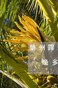 蘭州露天停車(chē)場(chǎng)一晚多少錢(qián)(一般露天停車(chē)場(chǎng)一個(gè)月多少錢(qián))