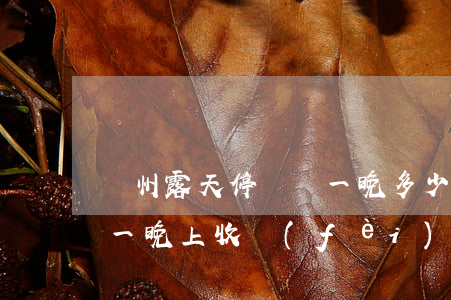 蘭州露天停車場一晚多少錢(蘭州西站停車場一晚上收費(fèi)多少)