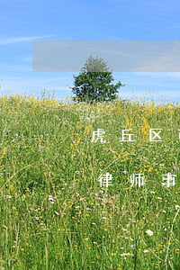 虎丘区可靠的民事债务律师哪个好-虎丘区律师事务所咨询电话