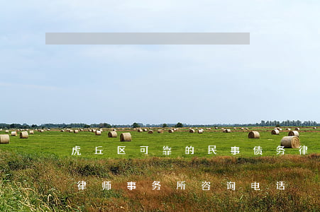 虎丘区可靠的民事债务律师哪里找-虎丘区律师事务所咨询电话