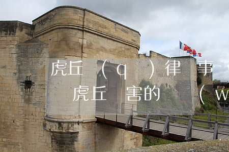 虎丘區(qū)律師事務(wù)所咨詢電話（虎丘厲害的債務(wù)糾紛律師）