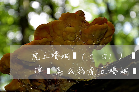 虎丘婚姻財(cái)產(chǎn)糾紛律師怎么找(虎丘婚姻財(cái)產(chǎn)糾紛律師怎么找)