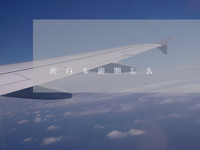 虎白卡逾期怎么辦