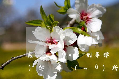 虎門(mén)刑事律師(東莞虎門(mén)律師事務(wù)所咨詢(xún)電話(huà))