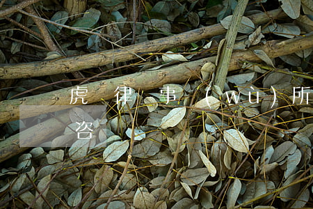 虎門律師事務(wù)所地址(虎門律師在線咨詢)