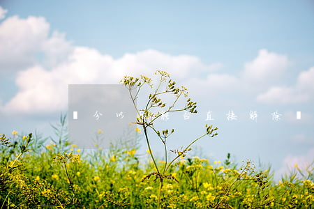 處分以后能否直接解除勞動合同