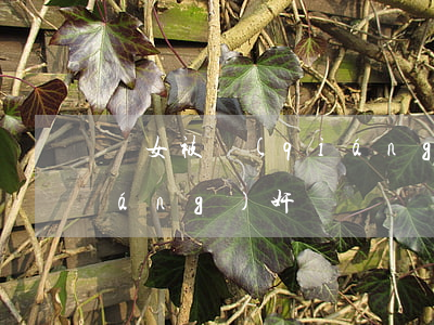 處女被強(qiáng)奸(處女被強(qiáng)奸)