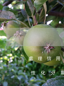 處理信用卡個(gè)性化分期(個(gè)性化分期以后信用卡是不是就不能用了)