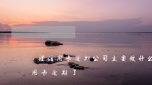 處理信用卡逾期公司主要做什么的 什么叫信用卡逾期了