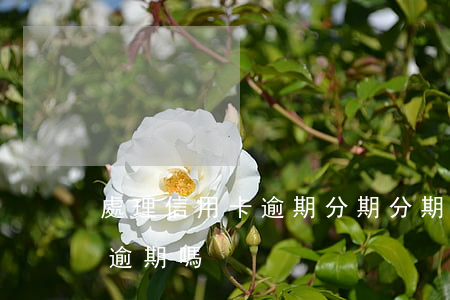 處理信用卡逾期分期(分期卡逾期屬于信用卡逾期嗎)