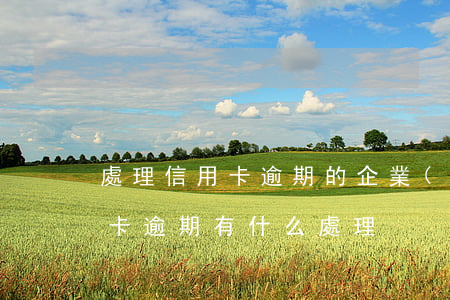 處理信用卡逾期的企業(yè)(今年的信用卡逾期有什么處理)