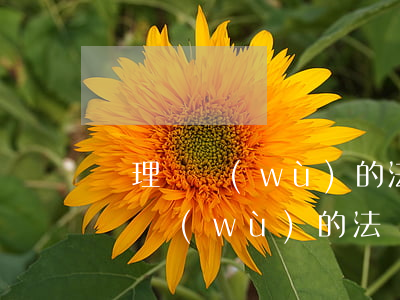 處理債務(wù)的法務(wù)公司(處理債務(wù)的法務(wù)公司怎么收費(fèi))