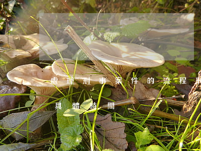 處理刑事案件的流程(刑事案件的辦案流程和具體時間)