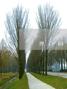 處理合同糾紛的程序有哪些