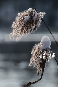 處理征信逾期需要電話卡（處理征信逾期）