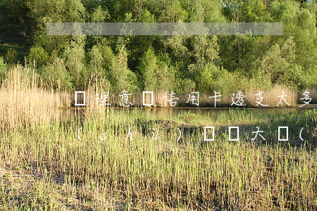 處理意見信用卡透支太多(信用卡惡意透支數(shù)額較大標(biāo)準(zhǔn))