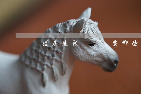 處理房屋租賃糾紛要哪些證據(jù)