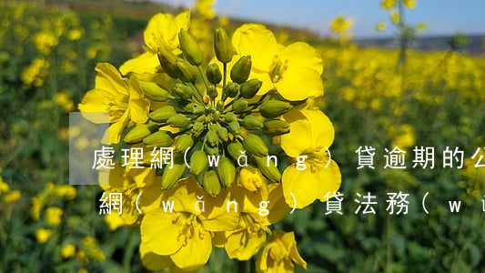 處理網(wǎng)貸逾期的公司靠譜不-網(wǎng)貸法務(wù)協(xié)商交500定金