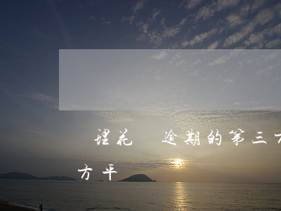 處理花唄逾期的第三方(處理花唄逾期的第三方平臺)
