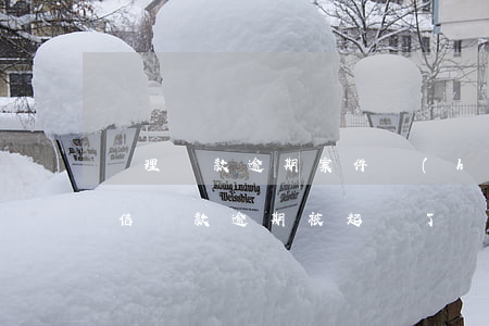 處理貸款逾期案件會(huì)加微信嗎(微信貸款逾期被起訴了會(huì)被怎么處理呢?)