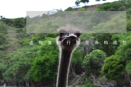 虚假宣传行为是否构成犯罪