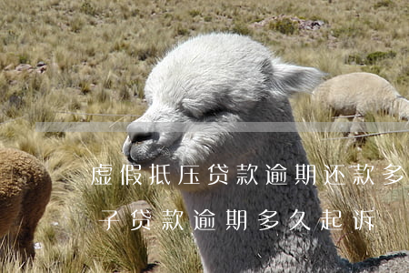虚假抵压贷款逾期还款多久会被起诉(抵押房子贷款逾期多久起诉)